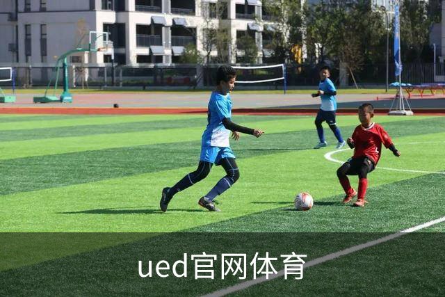 ued官网体育公司简介